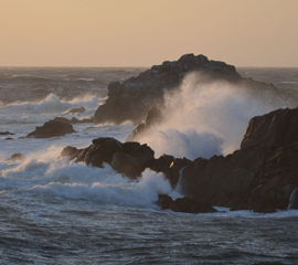 PACIFIC GROVE, CALIFORNIA