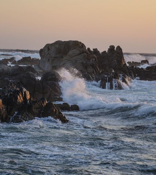 PACIFIC GROVE, CALIFORNIA