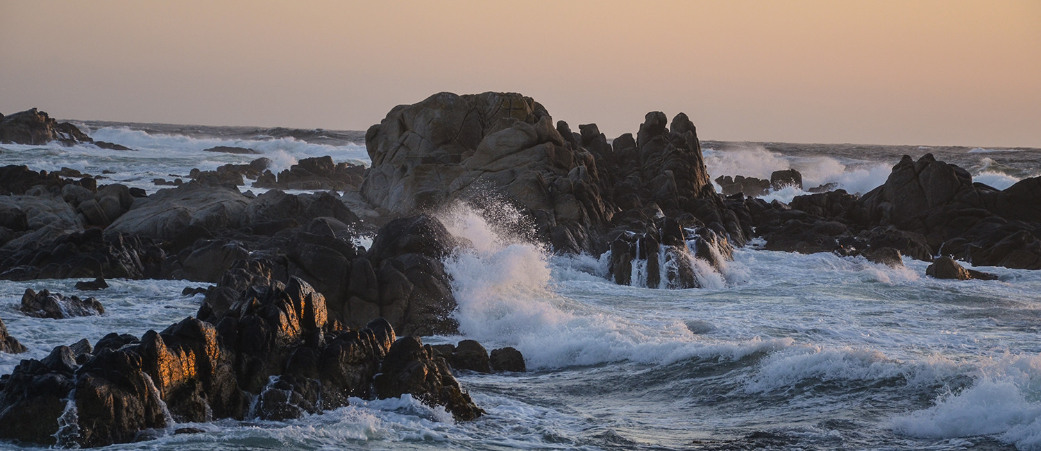 POPULAR PACIFIC GROVE ATTRACTIONS ARE JUST MINUTES FROM OUR HOTEL