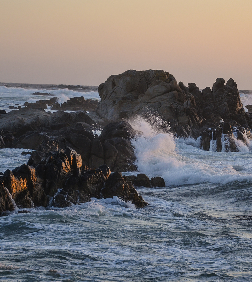 POPULAR PACIFIC GROVE ATTRACTIONS ARE JUST MINUTES FROM OUR HOTEL