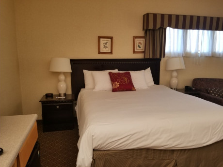 Rosedale Inn - King Room 